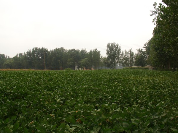 image001.jpg